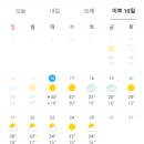 포항교육단 날씨(5.16.화) 이미지