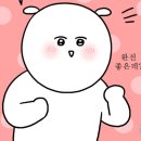 명랑돼지 이미지