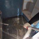 악쓰는 하마 이미지