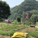 화천LPG충전소 네이버블로그