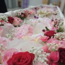 금강의전 이미지