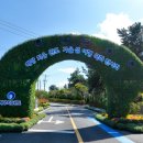 2024 청정완도 가을 섬여행 이미지