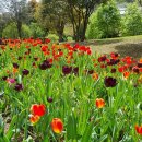 (주)연휘 이미지