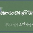 큐비씨 Daum카페