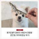 까까뭐멍냥 | 경기도광주,강아지 수제간식 경안동 까까뭐멍냥 후기