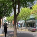 극동방송국 입구 버스정류장 이미지