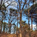 각골공원 이미지