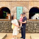 다온목장 | 제주 목장 카페 밭디 아이와 함께 하는 승마 체험