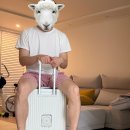 베르만짐(BERMAN GYM) | 베르만 캐리어 30인치 내돈내산 공구 솔직후기