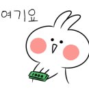 레푸스&아트포레 이미지