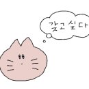 애기피부1호 이미지
