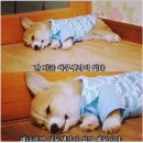 공감 이미지