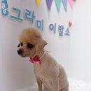 멍이발소 이미지