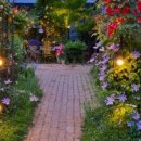 세렌의정원 이미지