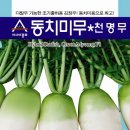 황금인력 이미지