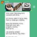 배꼽달래기