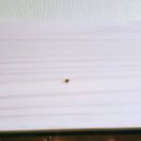 이즈의원 이미지