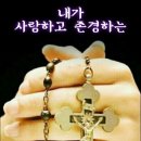 밤새 이미지