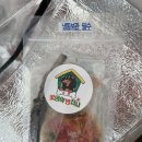 꽃댕이 멍집사 이미지