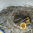 둥지파크 이미지