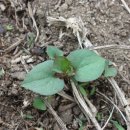 우승농장 이미지