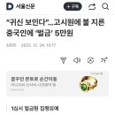 고시원에 불 지른 중국인에 벌금 5만원 이미지