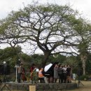 동백공원 생태 이미지