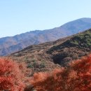 이번 10월 꼭 가봐야 할 단풍 명산 &#34; 오대산 이미지