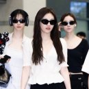 미야옹 이미지