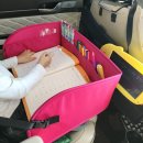 키즈맘스 | 차량용 카시트 키즈 트레이 추천 맘스스프링 내돈내산후기