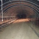 서면농장 이미지