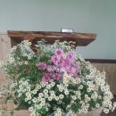 (주)수레 이미지