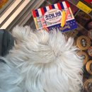 안경나라광양중동점 | 2026년 3월 월간일기- 꽃이 피고 꽃이 지고 그렇게 반복되고