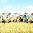 파주시농협쌀조합공동사업법인 이미지