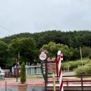 금선정 화장실 2 | 봉화 가볼만한곳 분천역산타마을 영주 계곡 여름 경북여행 코스