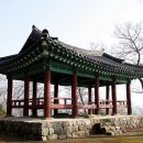 풍영정 Daum카페