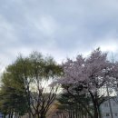 화로우김해 이미지