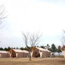 오토캠핑장 이미지