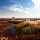 개랭이영농조합법인 이미지