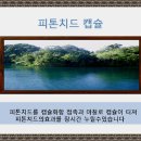 에이스크린 이미지