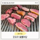 서광병원 | 광주 서구 금호동 맛집｜아이와 가기 좋은 꼬오리숯불마당 오리구이 후기