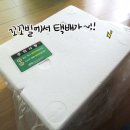 [꼬꼬빌]꼬꼬매니아 닭가슴살 개봉기!!