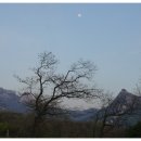 사마리안하우스 이미지