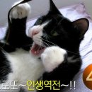 인생역전 이미지