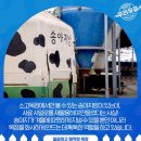 송아목장 이미지