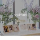 화이트소울 | 아이티컨벤션 화이트톤 본식DVD 소울마인드 영상 수령 솔직후기 내돈내산
