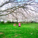 서쪽아이 이미지