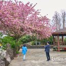 선흘1리경로당 이미지
