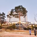 오케이빌리지 | 휘닉스파크 스노우빌리지 썰매장 초등아이 주말 방문 후기