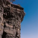 공룡모터스 이미지